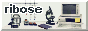 Ribozone