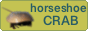 Horseshoe Crab