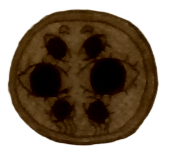 City Coin