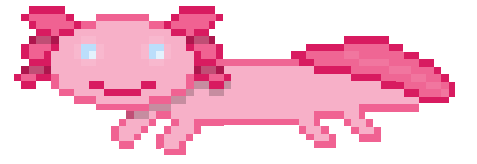 This is a leucistic axolotl! These are the most common type of axolotl you'll see in media, but they are actually rather rare in real life! Pink axolotl