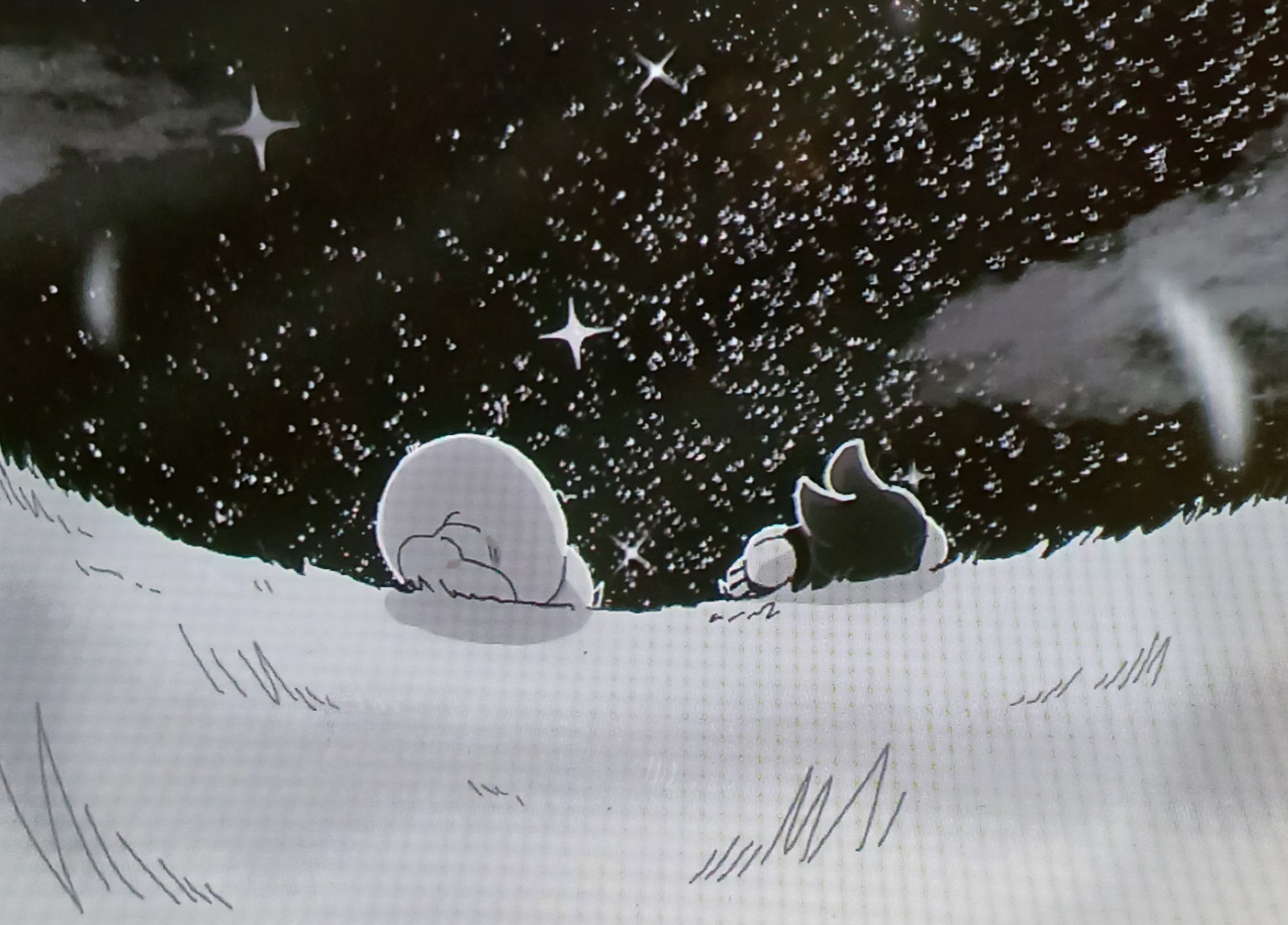 isabeau and siffrin stargazing
