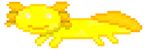 Golden albino axolotl